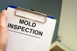These Six Signs Might Indicate That You Have a Mold Problem in Your Appliance Lines and Pipes